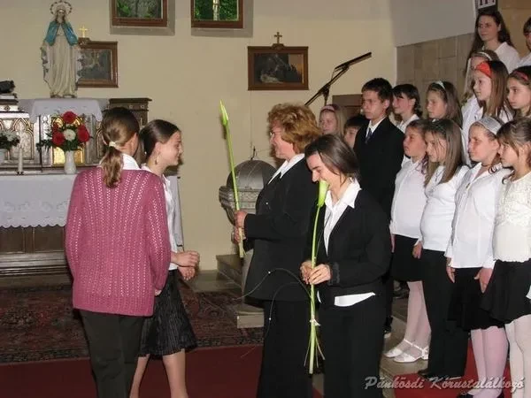 punkosdi 2008