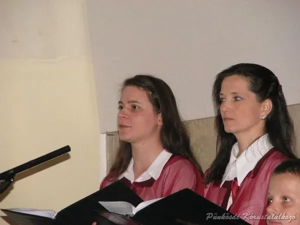 punkosdi 2008