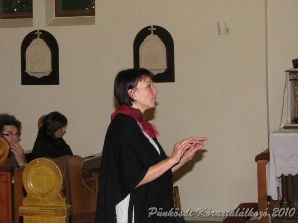 punkosdi 2010