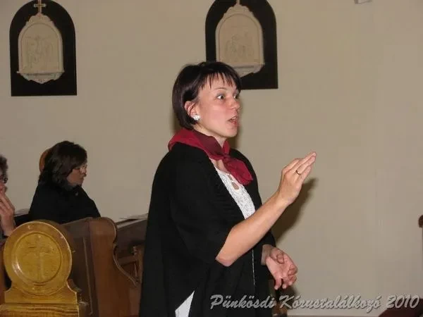 punkosdi 2010