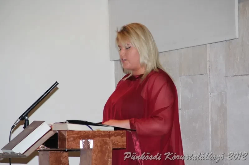 punkosdi 2012 05 26