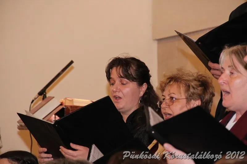 punkosdi 2012 05 26