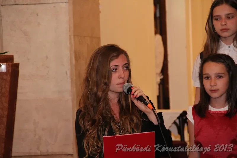 punkosdi 2013 05 16