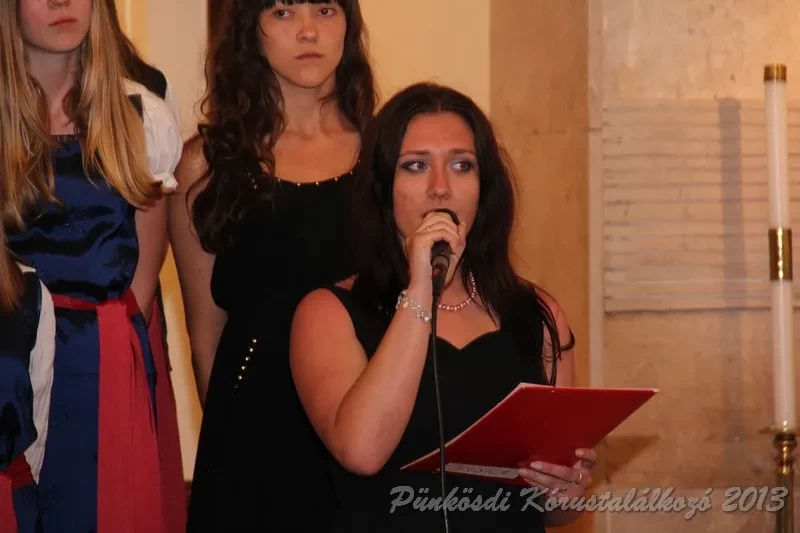 punkosdi 2013 05 16