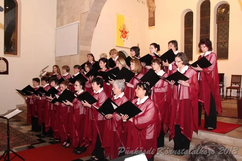 punkosdi 2013 05 16