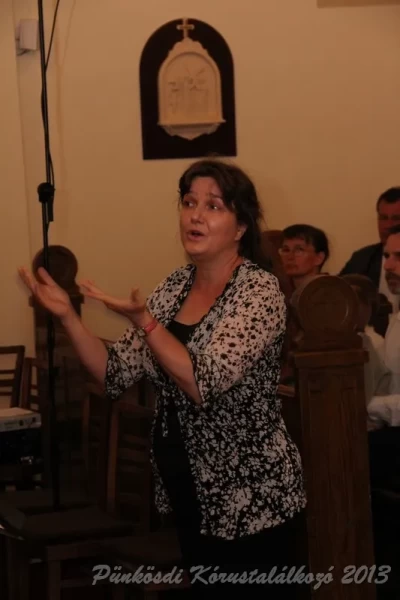 punkosdi 2013 05 16