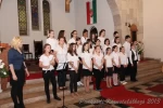 punkosdi 2013 05 17