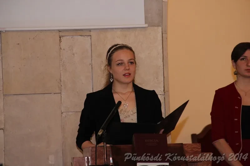 punkosdi 2014 06 05