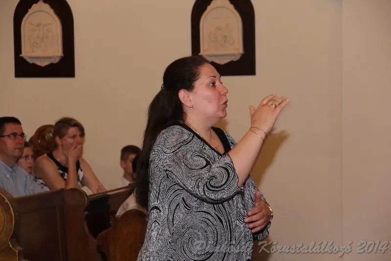 punkosdi 2014 06 05
