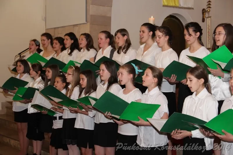 punkosdi 2014 06 05