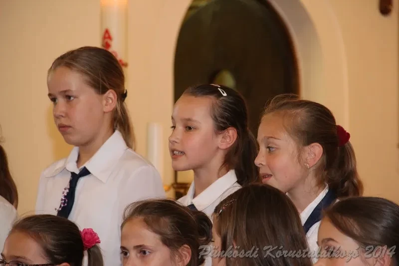punkosdi 2014 06 06
