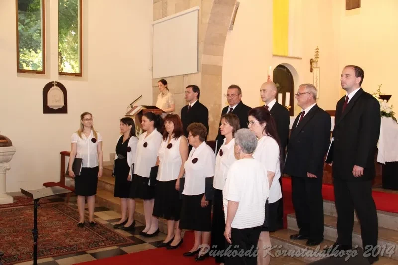 punkosdi 2014 06 06