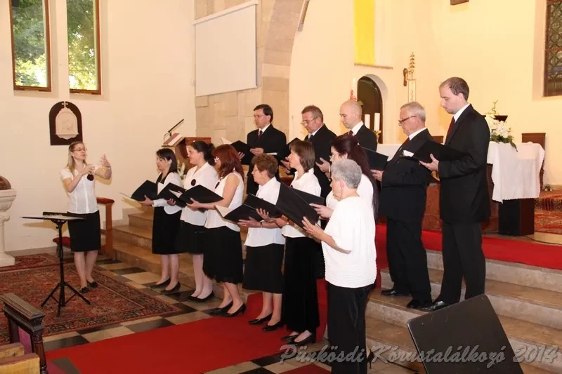 punkosdi 2014 06 06