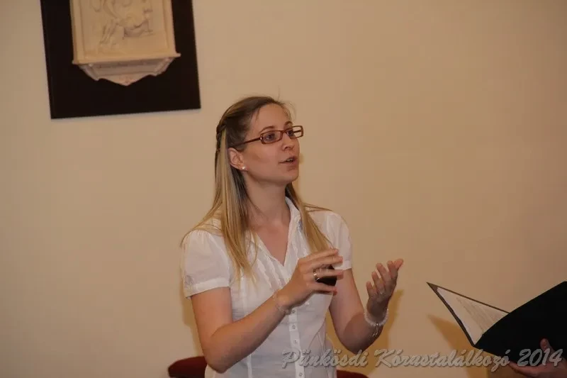 punkosdi 2014 06 06