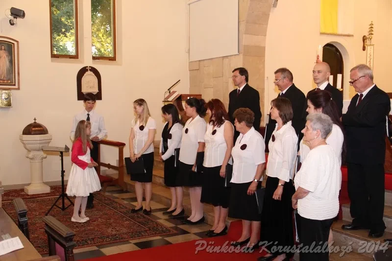 punkosdi 2014 06 06