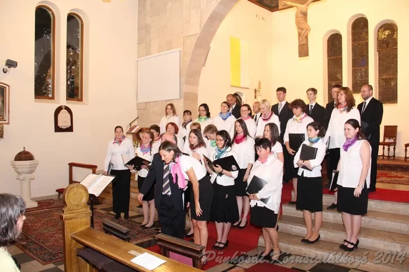 punkosdi 2014 06 06
