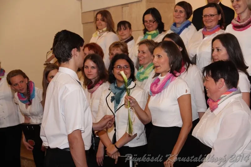 punkosdi 2014 06 06