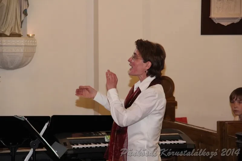 punkosdi 2014 06 07