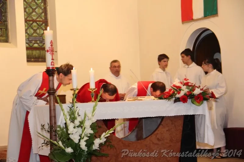 punkosdi 2014 06 07
