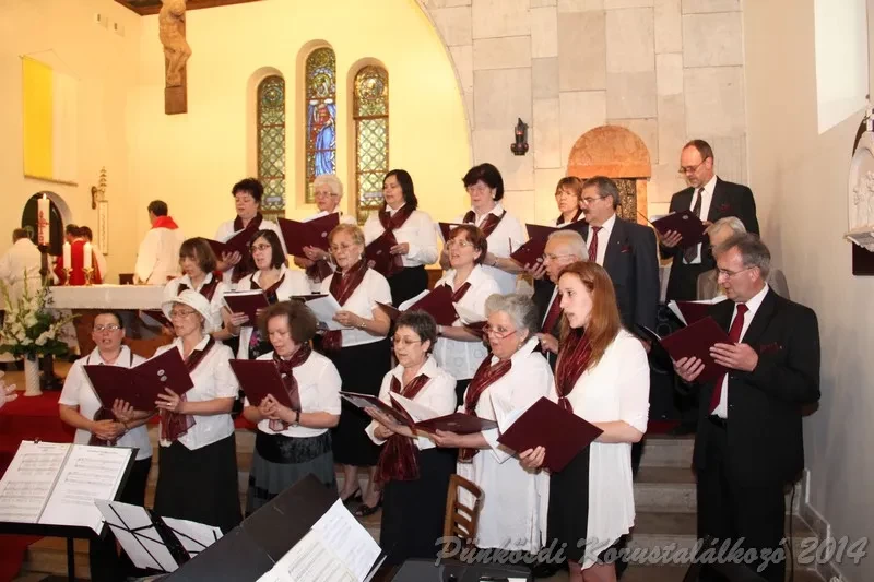 punkosdi 2014 06 07