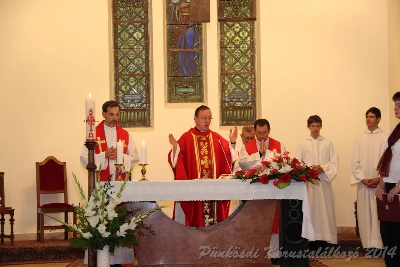 punkosdi 2014 06 07