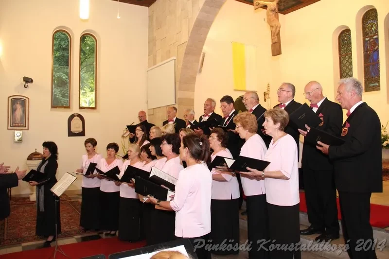 punkosdi 2014 06 07