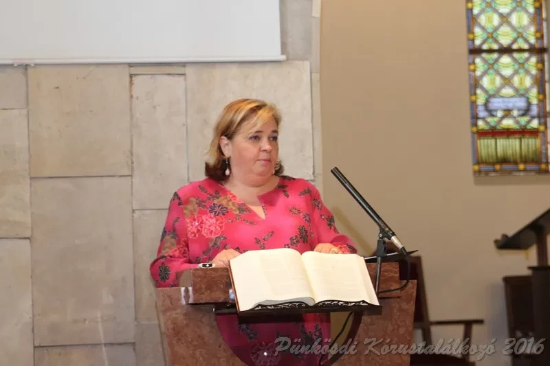 punkosdi 2016 05 13