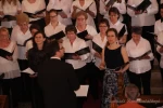 punkosdi 2019 06 07